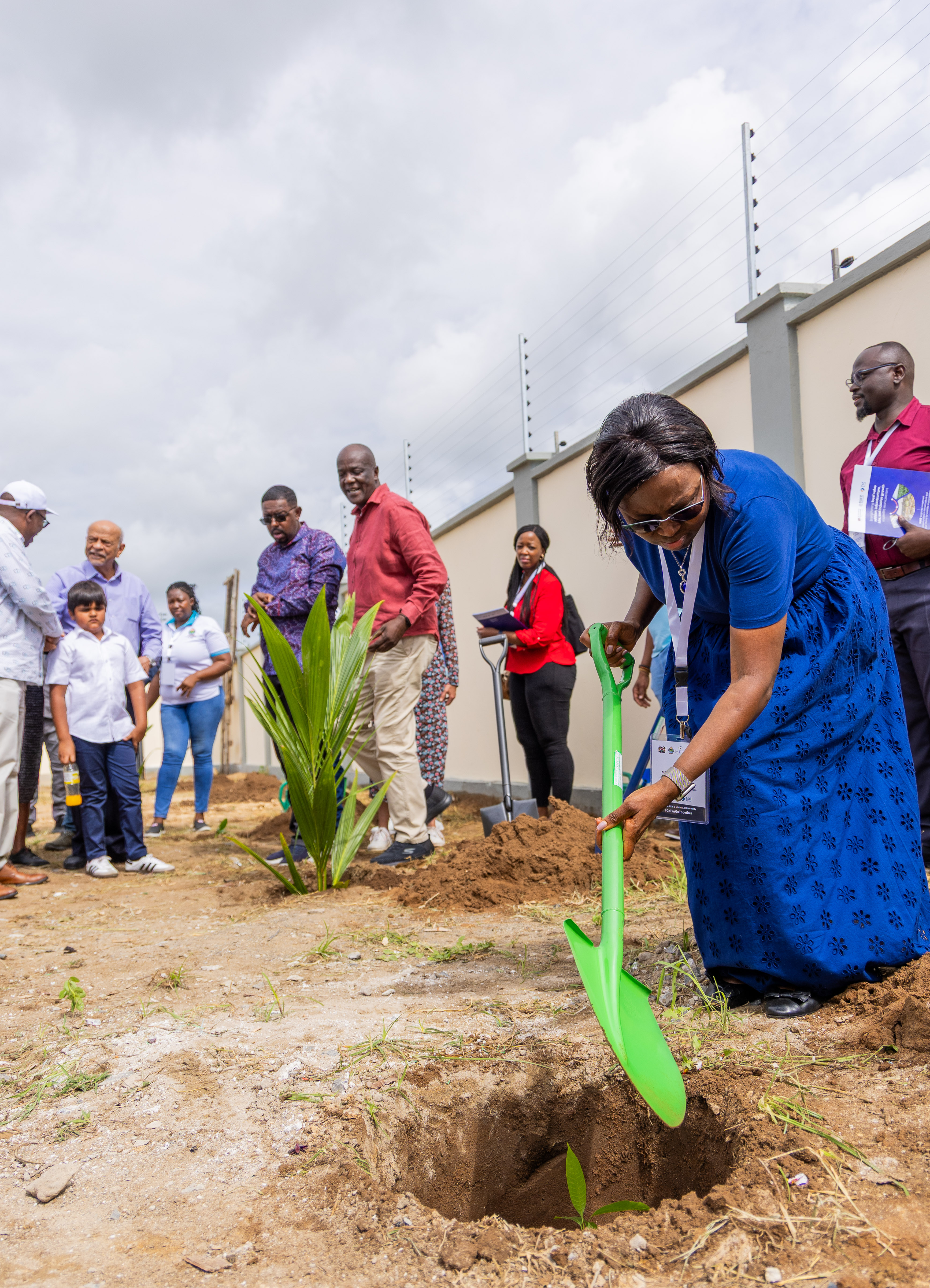 A woman with a green spade plants a young tree as others watch