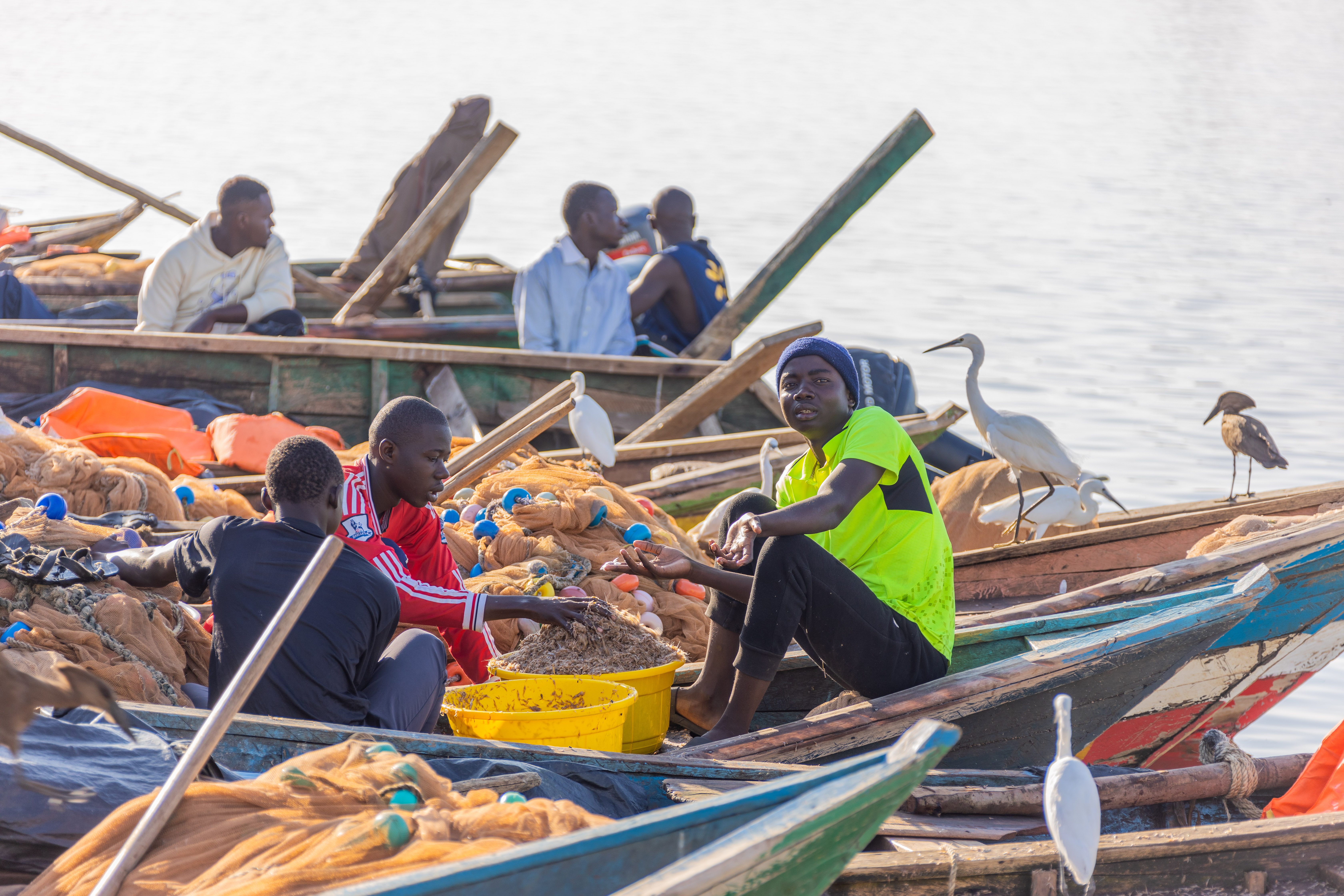 Fishermen rest and sort nets in colourful wooden boats while egrets perch nearby