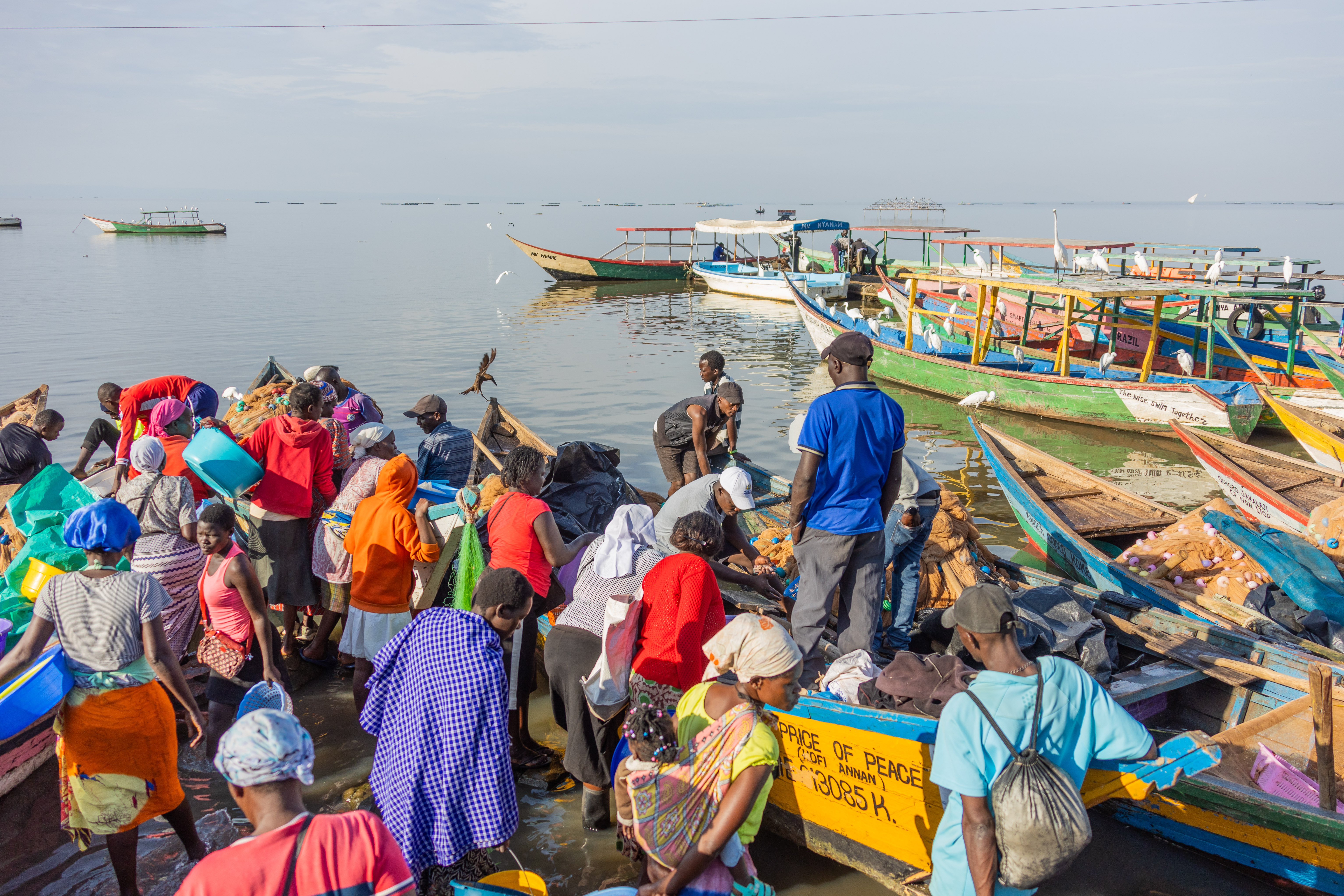 A crowd of traders gathers around painted fishing boats at a busy lakeside beach