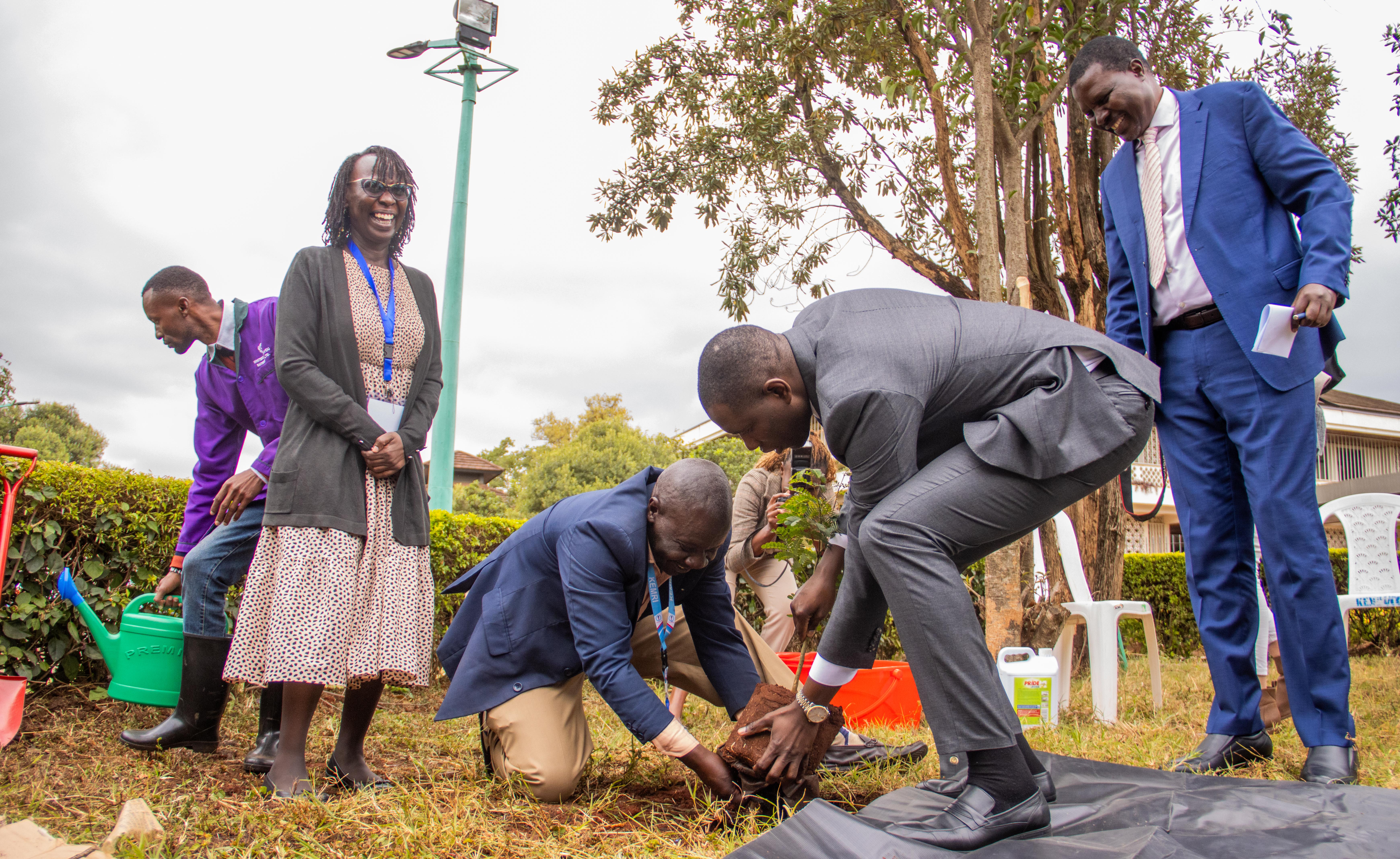 Guests kneel and bend to plant a seedling while others watch